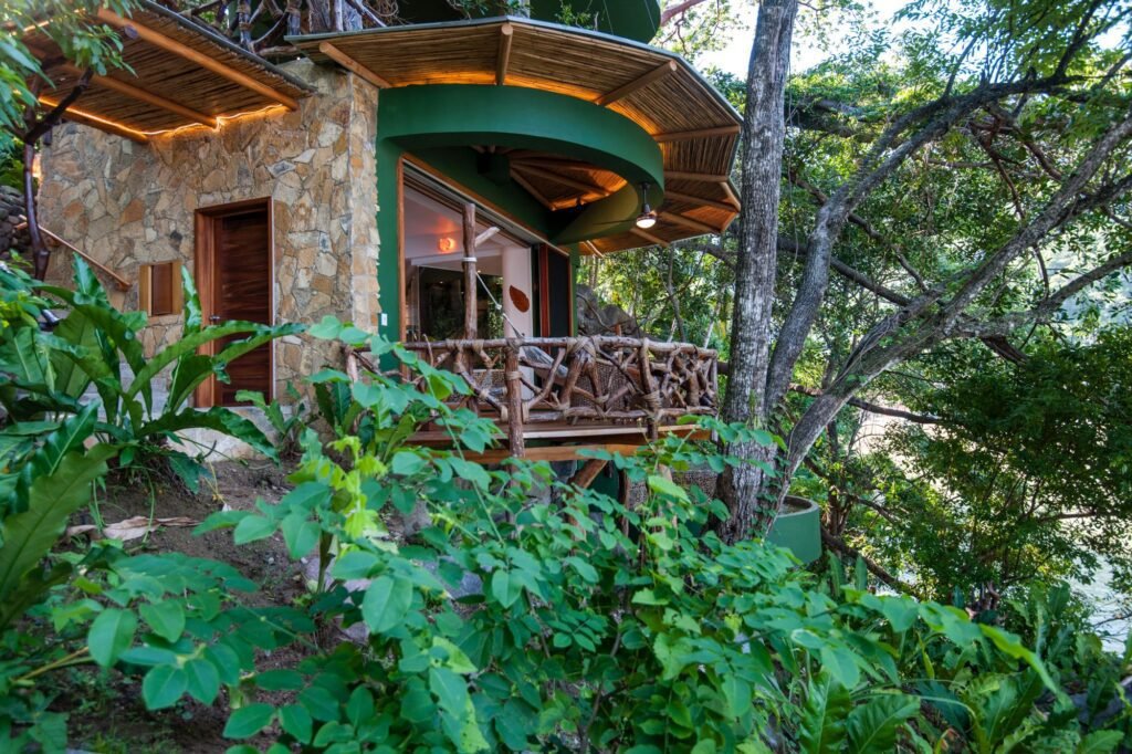 jungle nest 72 dpis 001